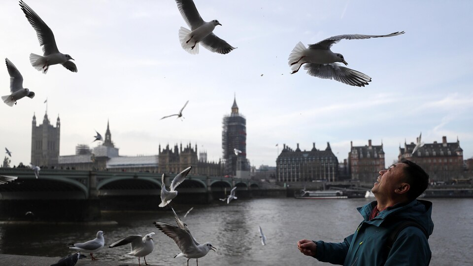 Un touriste lance de la nourriture pour les mouettes à Londres.