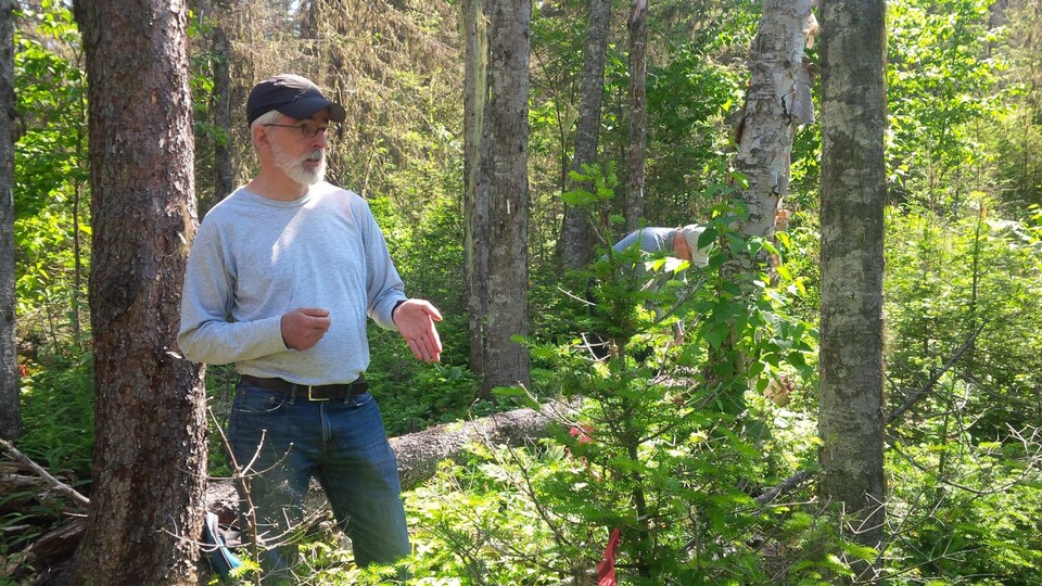 Louis De Grandpré est debout dans une forêt.