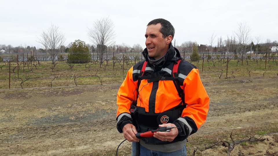 Louis Denault, vice-président du Conseil des vins du Québec et propriétaire du Vignoble Sainte-Pétronille
