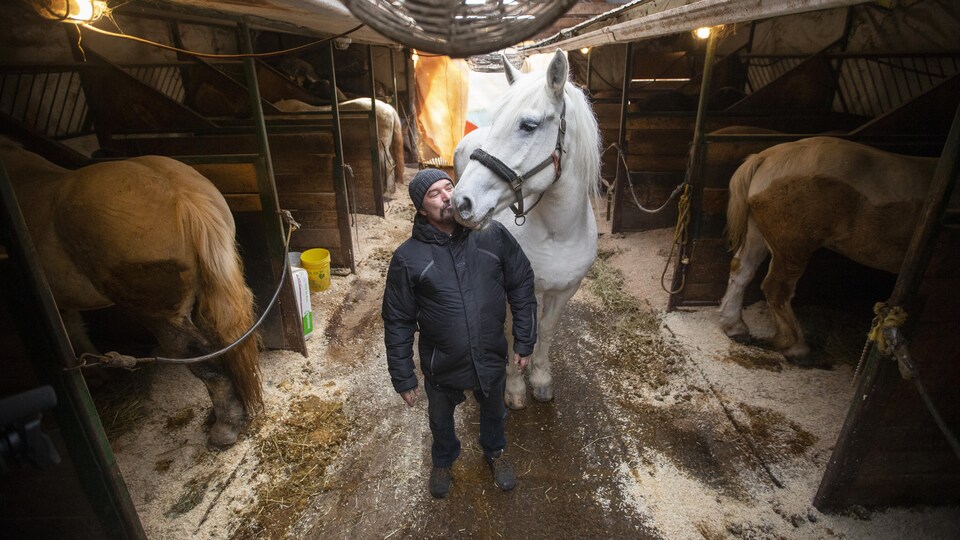 L'homme embrasse le museau d'un cheval.