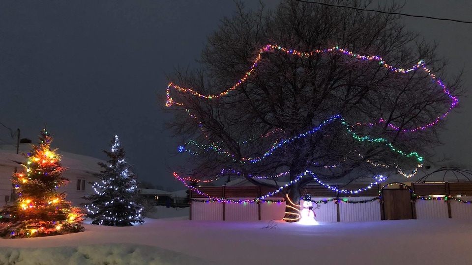 Des lumières de Noël dans des arbres.