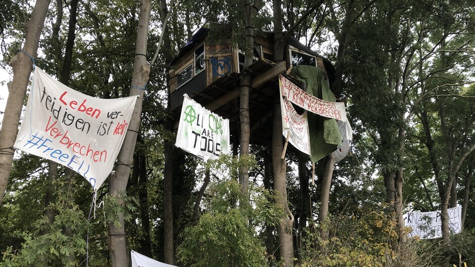 Une maison dans les arbres entourée de banderoles. 