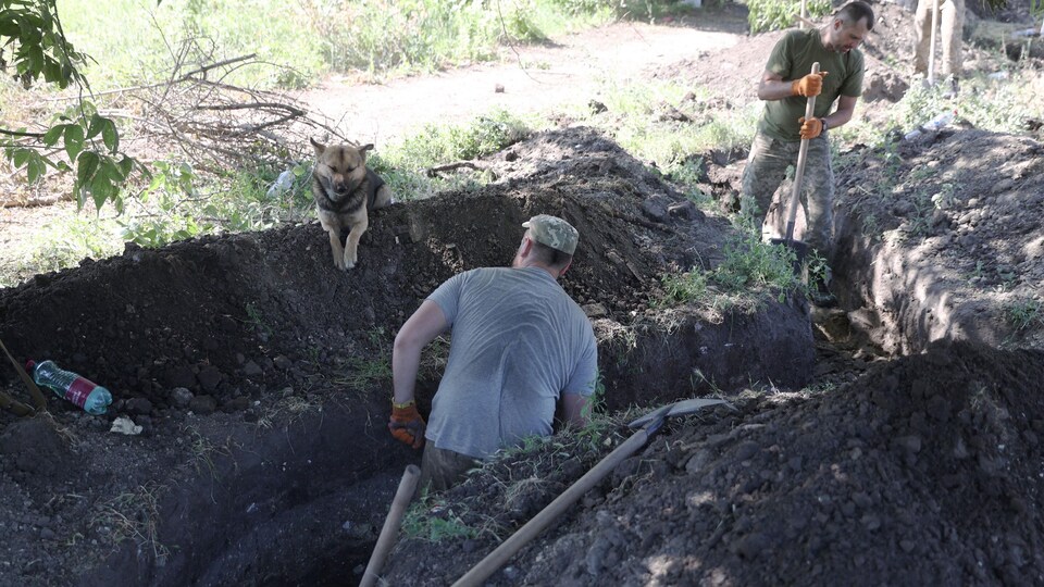 Deux hommes creusent une tranchée sous le regard d'un chien. 