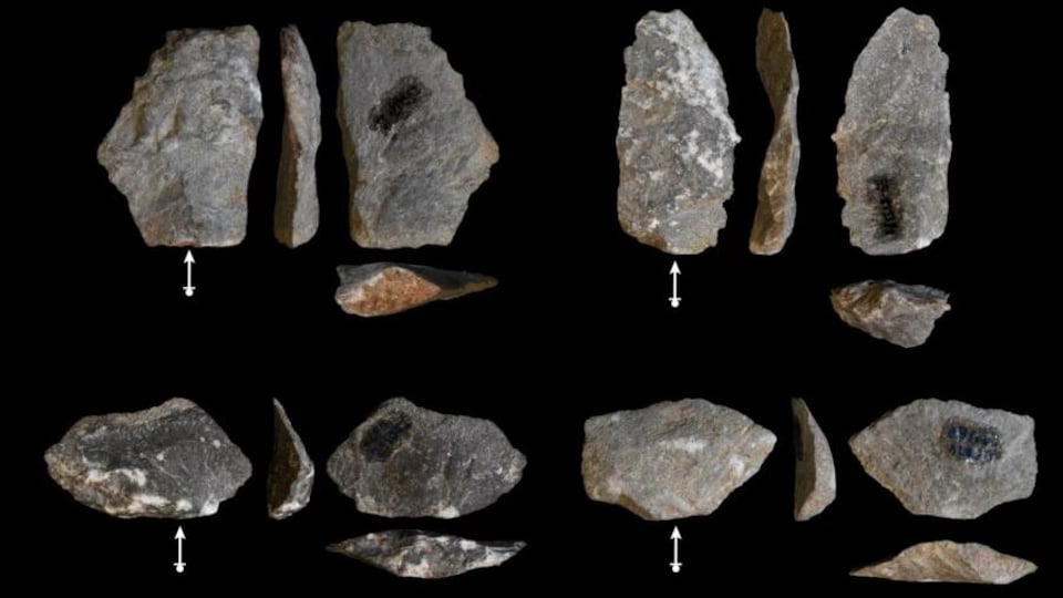 Exemples d'éclats de pierre créés par les macaques. 