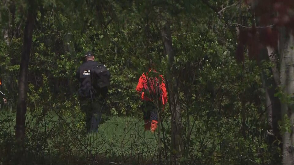 Deux agents marchent dans la forêt.