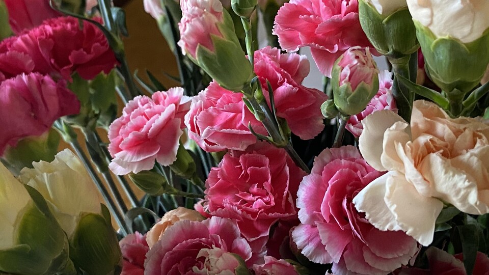 Un bouquet de roses.