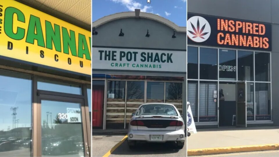 Des façades de magasins de cannabis à Saskatoon.
