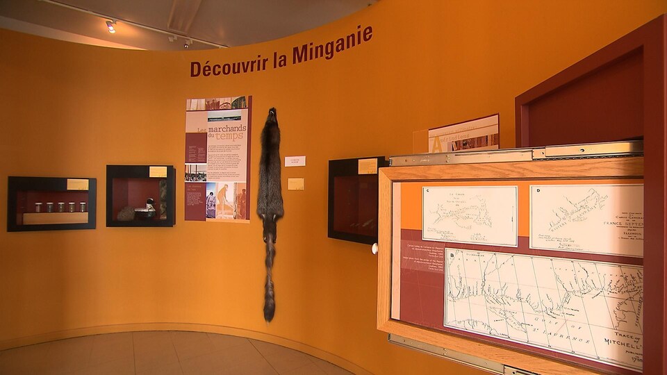 L’Artania fait escale à HavreSaintPierre RadioCanada.ca