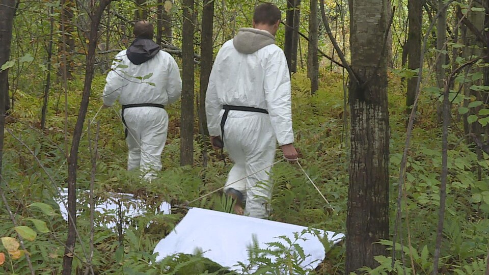Deux hommes sont dans un boisé en habit de protection et traînent des grands bouts de flanelle où peuvent s'attacher des tiques à pattes noires.