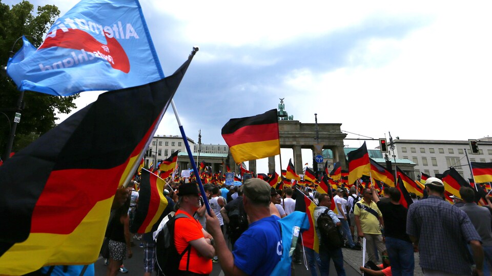 Des manifestants du parti anti-immigration Alternative pour l'Allemagne brandissant des drapeaux allemands.