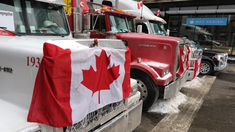 Des camions qui arborent le drapeau du Canada.