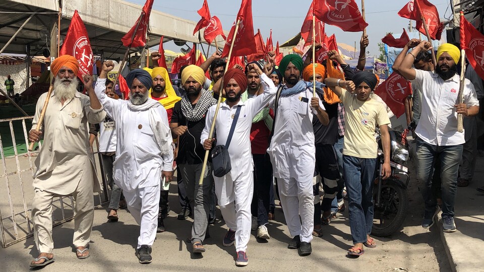 Des manifestants indiens