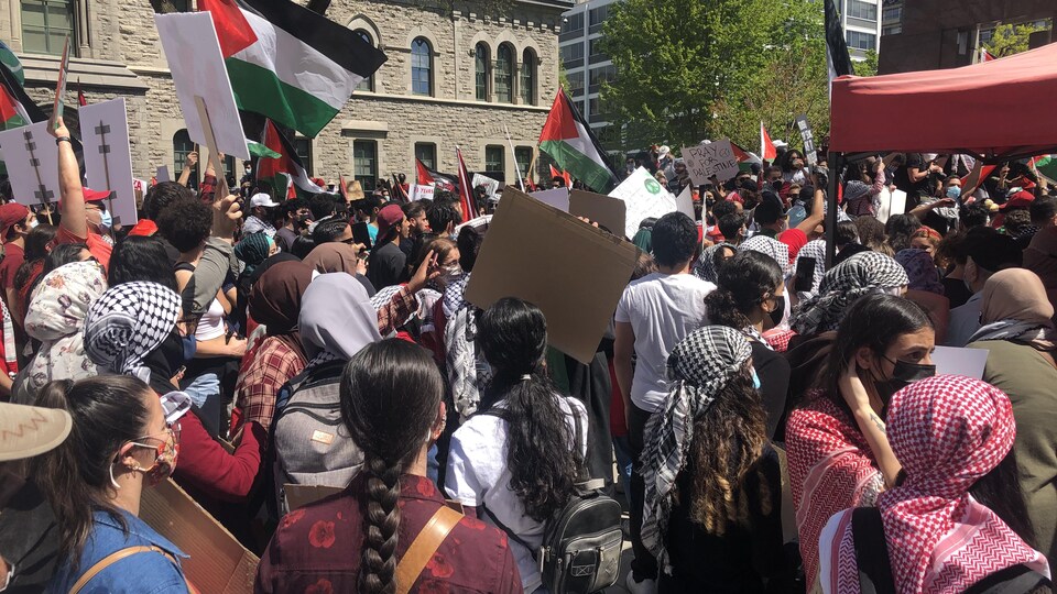 Des manifestants portant le masque sont réunis et certains brandissent le drapeau palestinien.