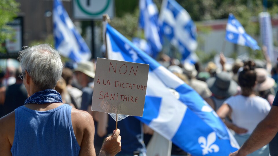 Une foule de manifestants brandissant des drapeaux du Québec.