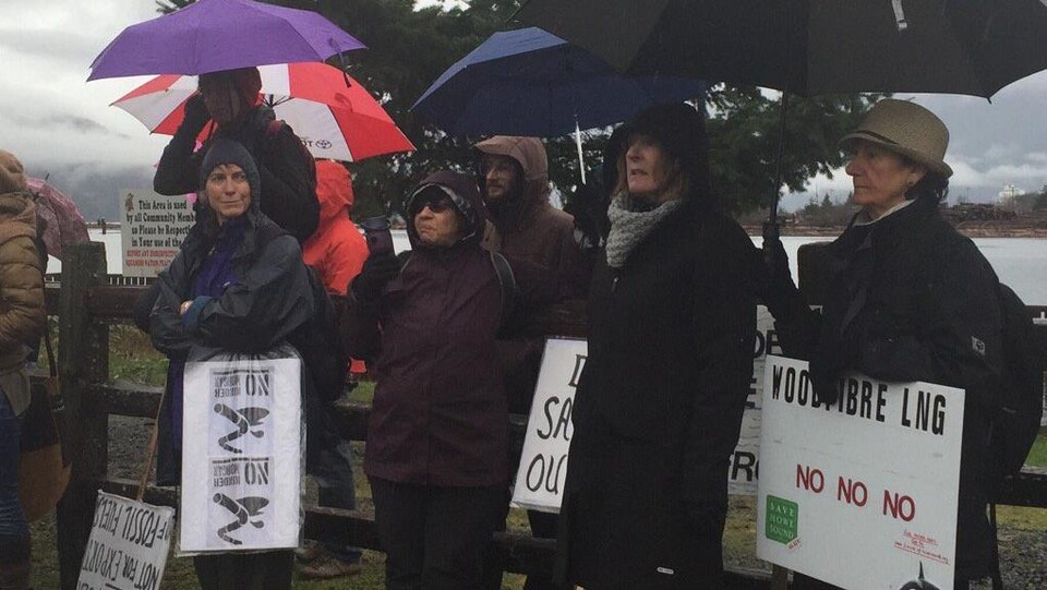 Des manifestants ont affronté la pluie dimanche pour montrer leur opposition au projet Woodfibre LNG à Squamish en Colombie-Britannique.