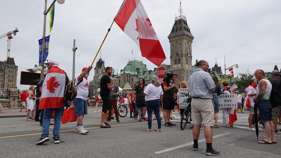 Certaines personnes brandissent le drapeau canadien ou en sont drapées. D'autres tiennent des pancartes.