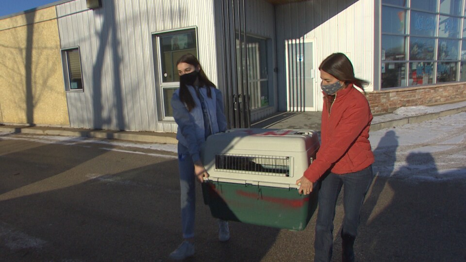 Josée Bélanger et sa fille transportent une cage contenant trois chiots vers leur voiture. 

