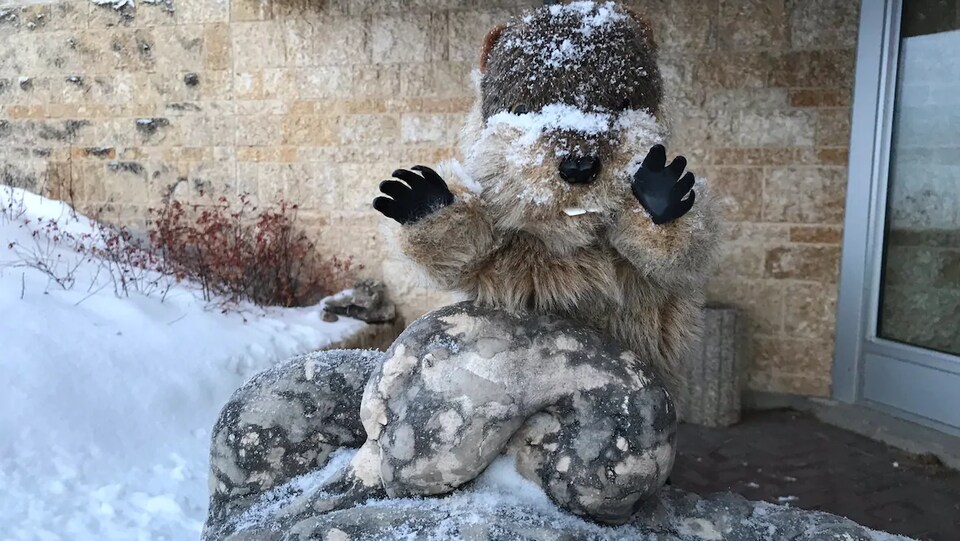 Une marmotte en peluche dehors dans la neige.