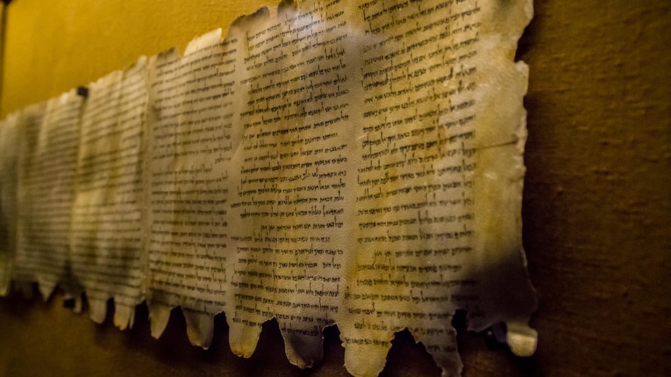 Les manuscrits de la mer Morte exposés sur le mur d'un musée.