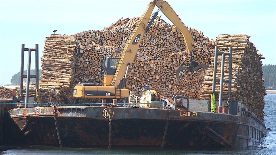 Du bois entassé sur une barge