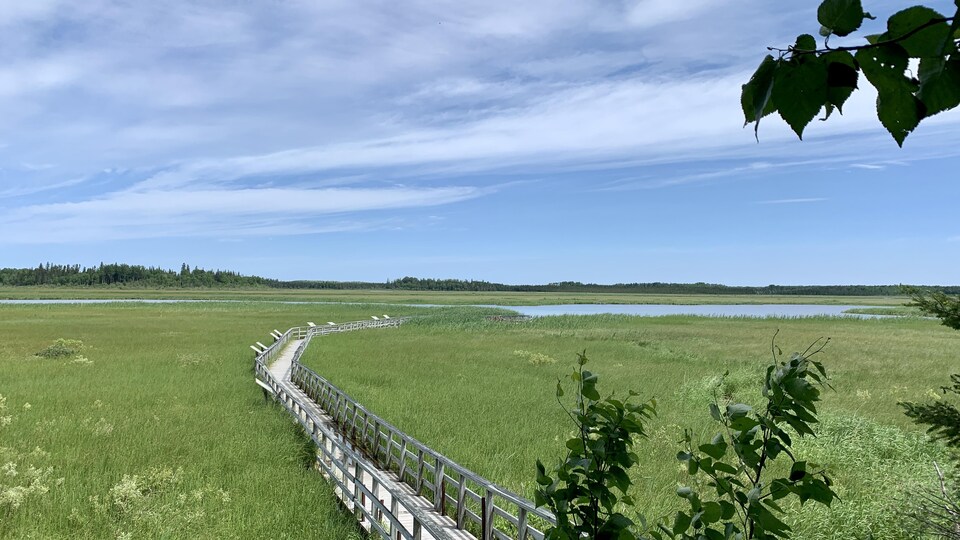 Roquemaure tente de baliser l’exploration minière sur son territoire