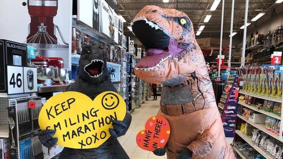 Des dinosaures dans une allée de grand magasin.