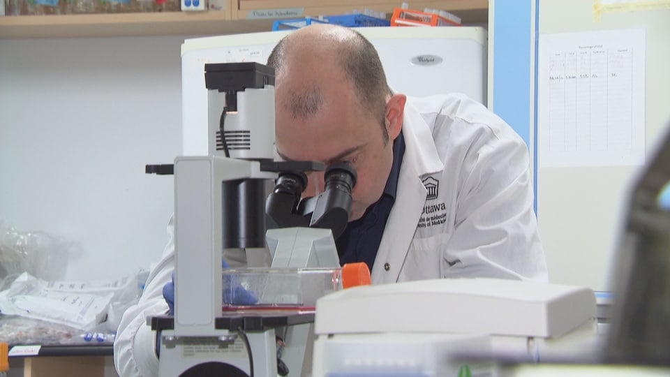 Marc-André Langlois regarde dans un microscope dans un laboratoire.