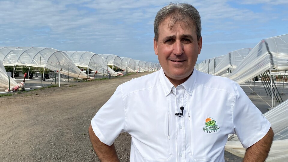 Marc Leblanc est devant ses champs qui comptent 10 000 plants de cannabis.