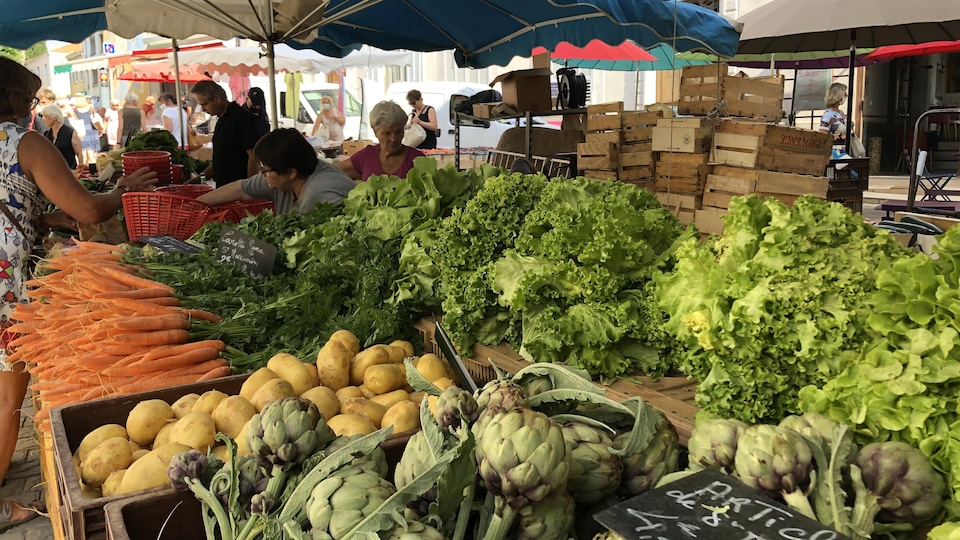 Un étal de légumes : frisées, artichauts, bottes de carottes,...