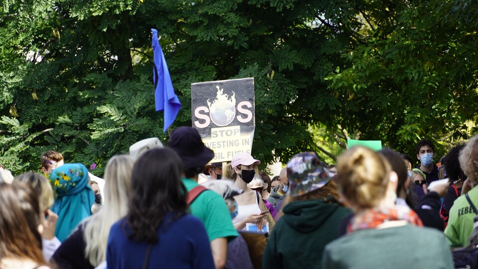 Dans un parc, des manifestants munis de pancartes se rassemblent.