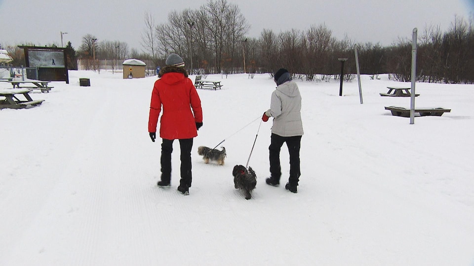 Deux personnes promenant des chiens au parc de la Rivière-du-Moulin.