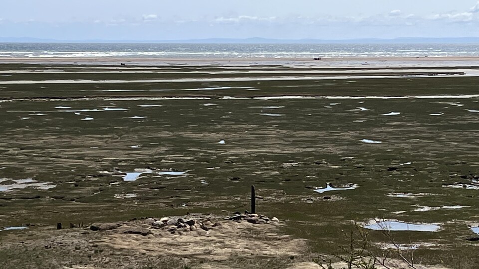 Les berges près de Portneuf-sur-Mer.