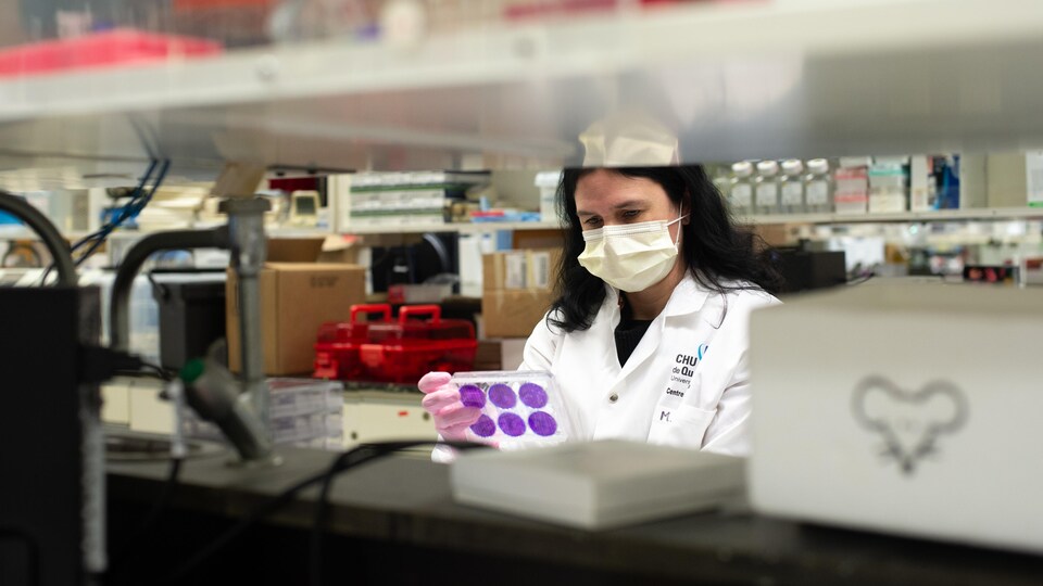 Mariana Baz porte un masque et examine des plaques contenant des virus de la grippe H1N1.