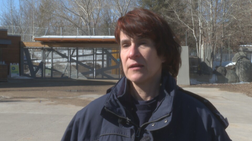 Marie-Josée Limoges, la vétérinaire du Zoo d'Edmonton.