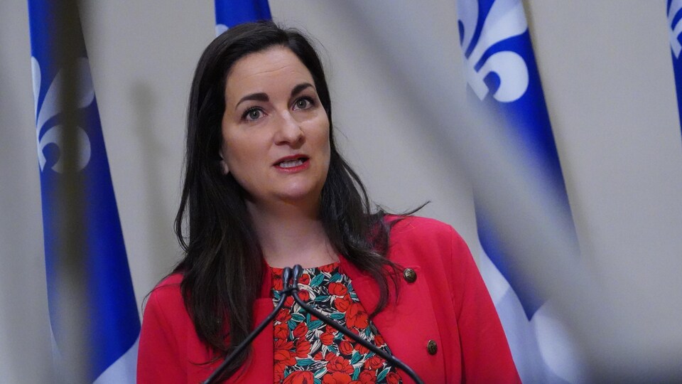 Marie Montpetit, debout derrière un lutrin et devant des drapeaux du Québec, durant un point de presse.