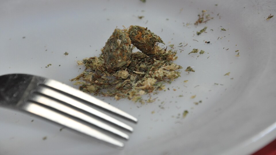 Une assiette avec de la marijuana