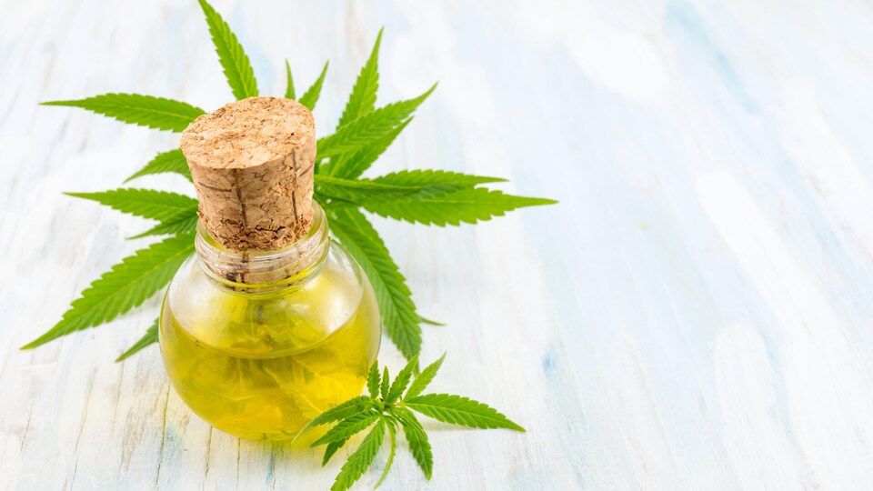 Cannabis médicinal