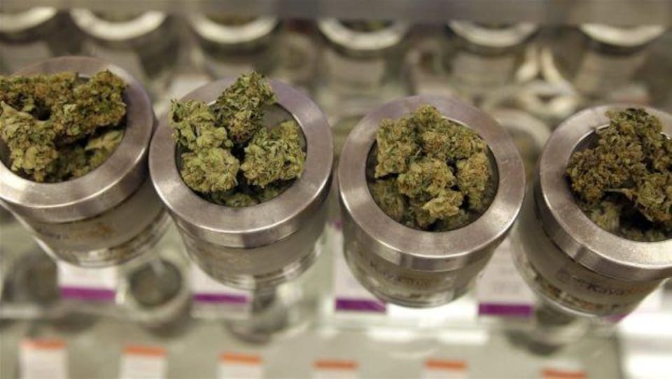 Légalisation de la marijuana : sept enjeux soulevés dans le cadre du comité  parlementaire | Cannabis : les effets de la légalisation | Radio-Canada.ca