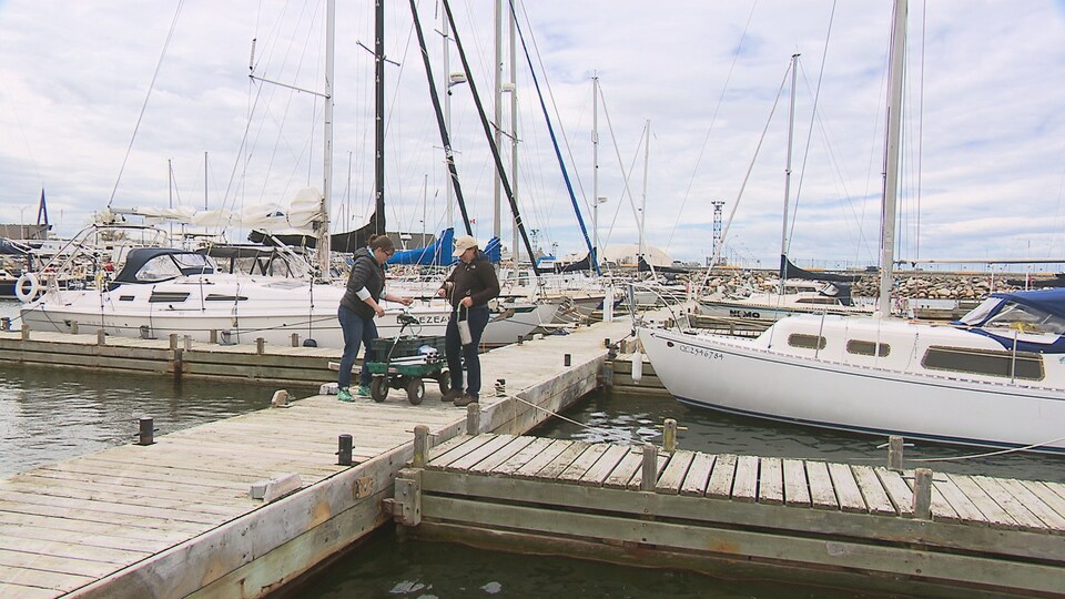 La marina de Rimouski