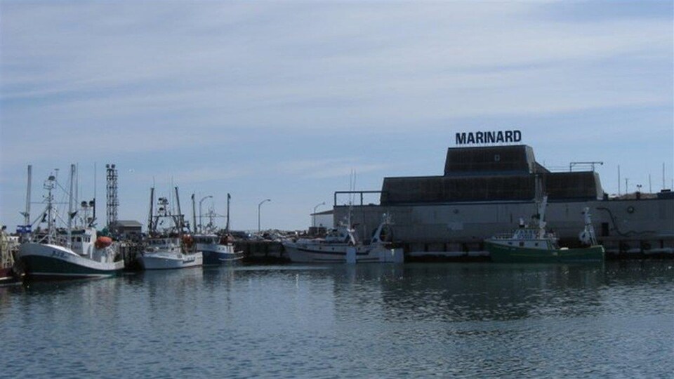 Le havre de pêche de Rivière-au-Renard.