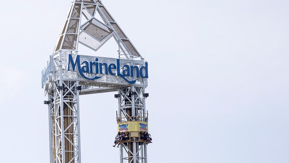 Des clients font un tour de manège à Marineland de Niagara Falls.