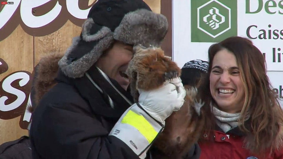 En Gaspésie, les gens se fient à Fred la marmotte
