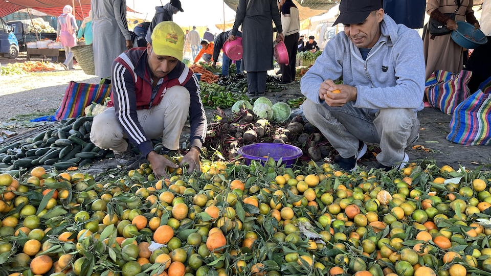 maroc-skoura-souk-oranges