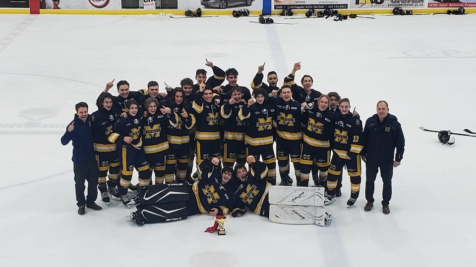 Une équipe de hockey sur une patinoire