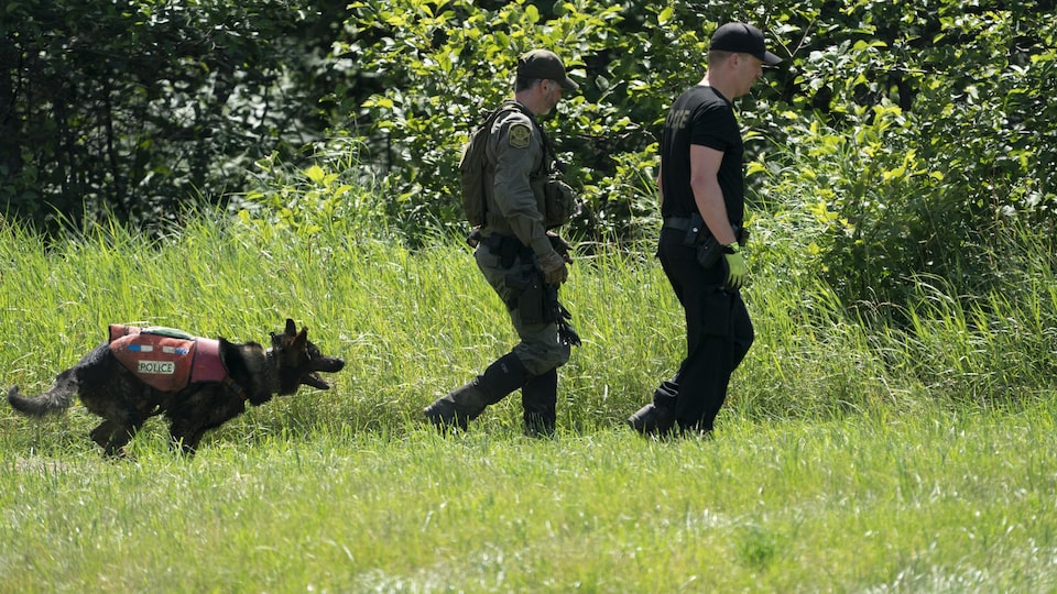 Deux policiers et un chien effectuent des recherchent dans un secteur boisé.