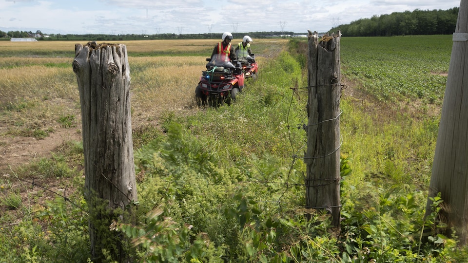 Deux policiers sur des véhicules tout-terrain cherchent dans un champ.