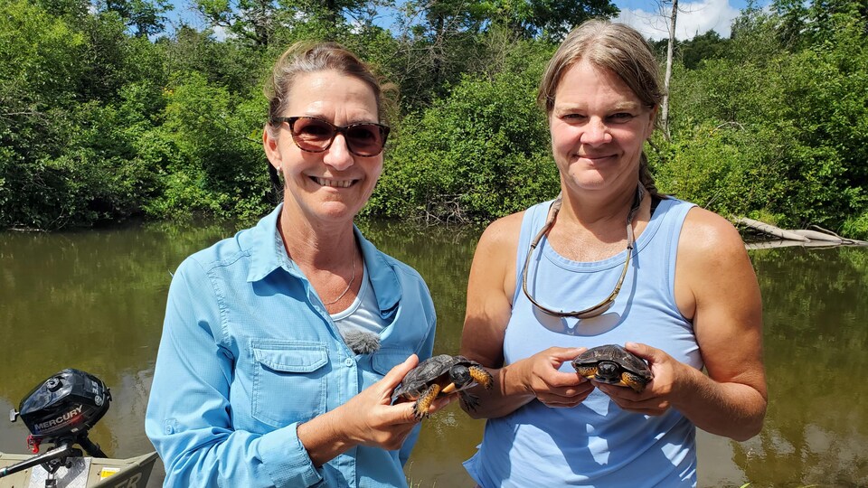 Martine Tremblay et Johanne Dussureault posent en tenant chacune une tortue dans leurs mains. 