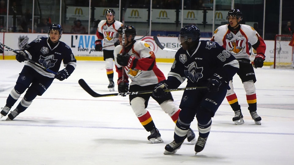 Bilan de la saison du Drakkar de