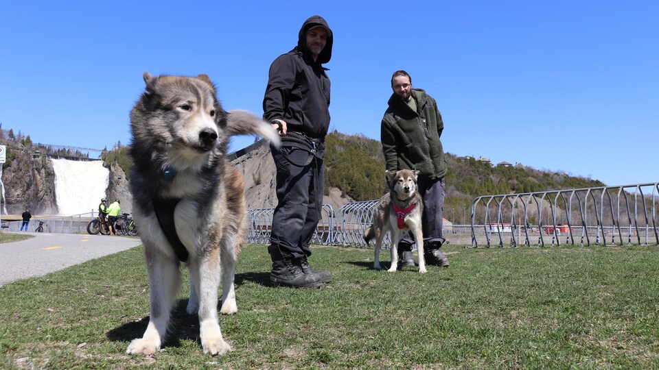 Mathieu Lambert et Mathieu Lévesque en compagnie de leurs chiens.