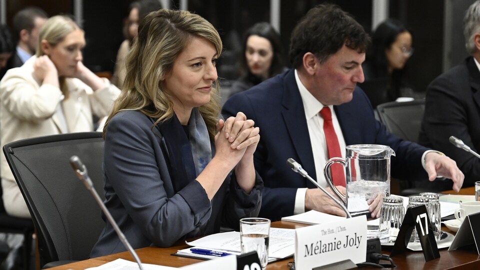 Mélanie Joly et Dominic LeBlanc assis se préparent à livrer leur témoignage.